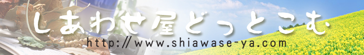 �g�b�v�y�[�W�֖߂�